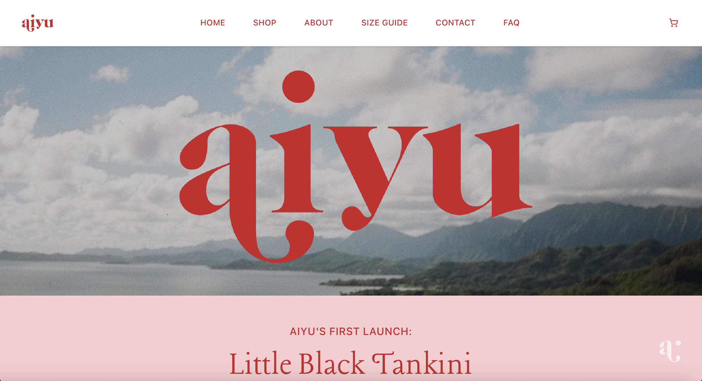 AIYU Website Project